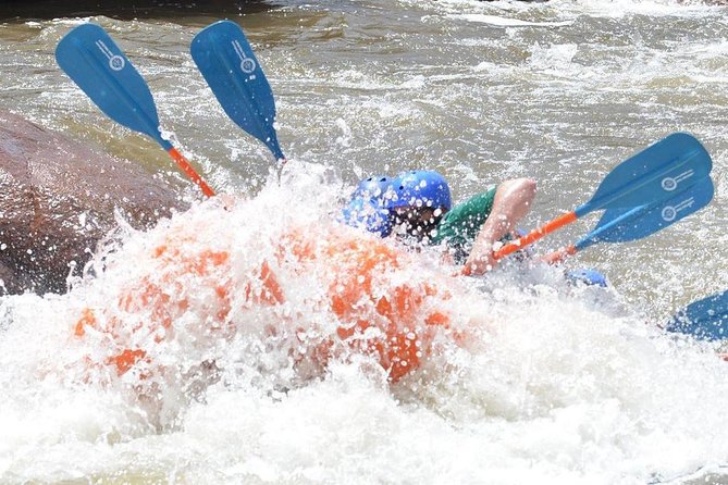 Royal Gorge Half-Day Rafting Trip - Booking and Terms