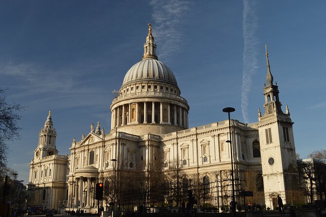 Royal London Private Walking Tour - Operator Information