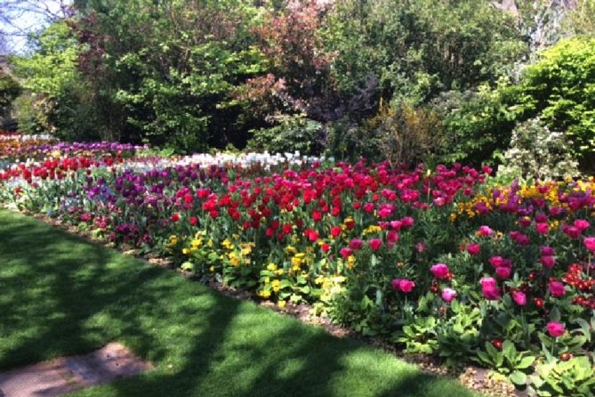 Royal London Private Walking Tour - Cancellation Policy