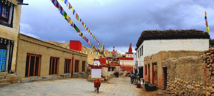 Royal Mustang Trek - Trek Highlights