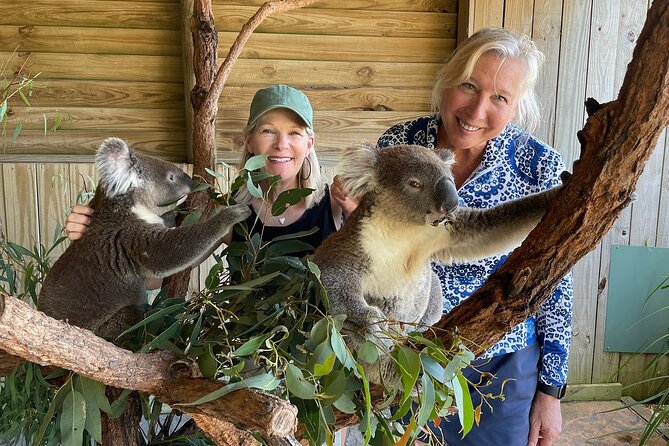 Royal National Park Hike, Swim and Wildlife Tour - Tips for a Successful Tour
