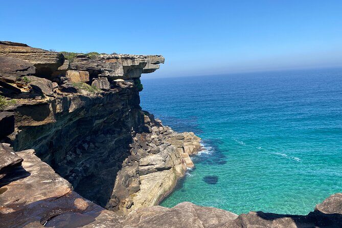 Royal National Park Wilderness Half-Day from Sydney with Picnic - The Balance of Cost and Experience  