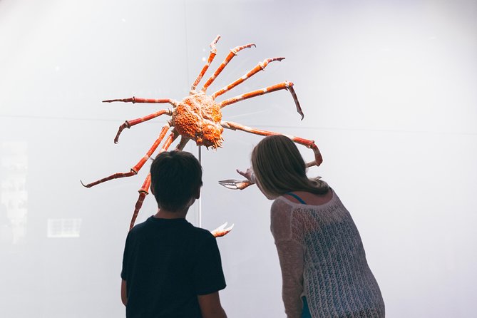 Royal Ontario Museum Admission - Visitor Information