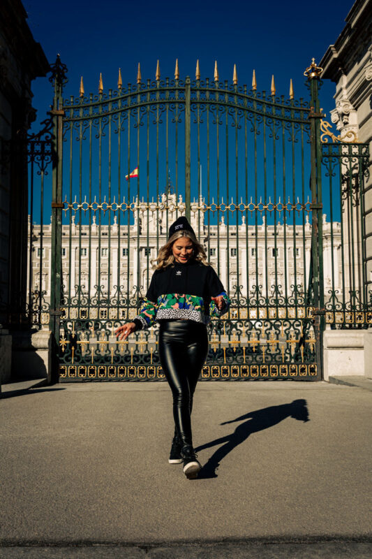 Royal Palace of Madrid Small Group Guided Tour - What the guide adds