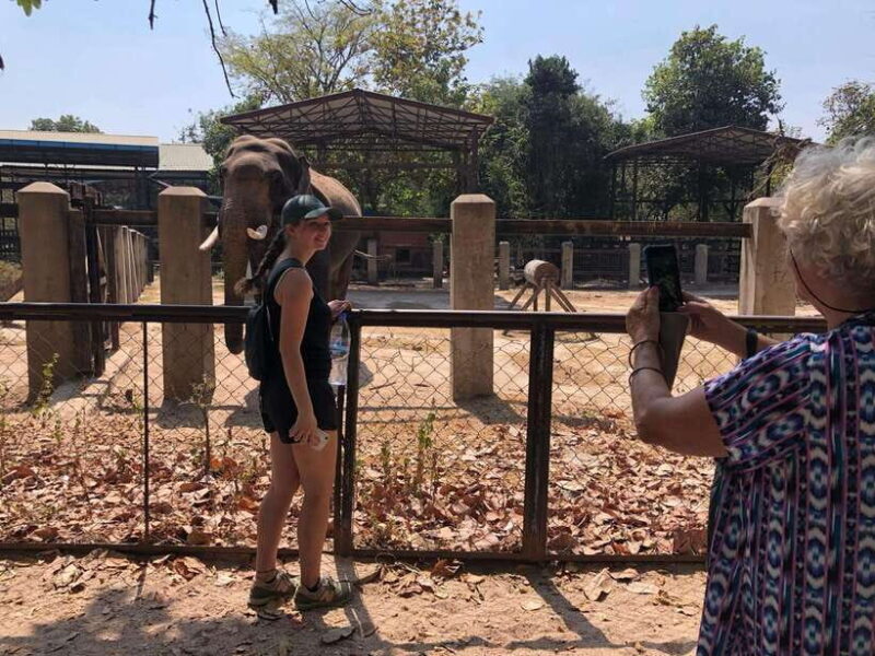 Royal Palace, S-21 Genocide, National Museum & Killing Field - Logistics, Value, and Practical Tips