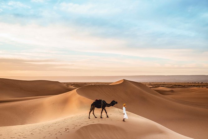 Royal Private Desert Safari - Exclusive SUV - Common Questions