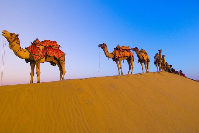 Royal Rajasthan Tour With Wildlife and Taj Mahal - Delicious Meals