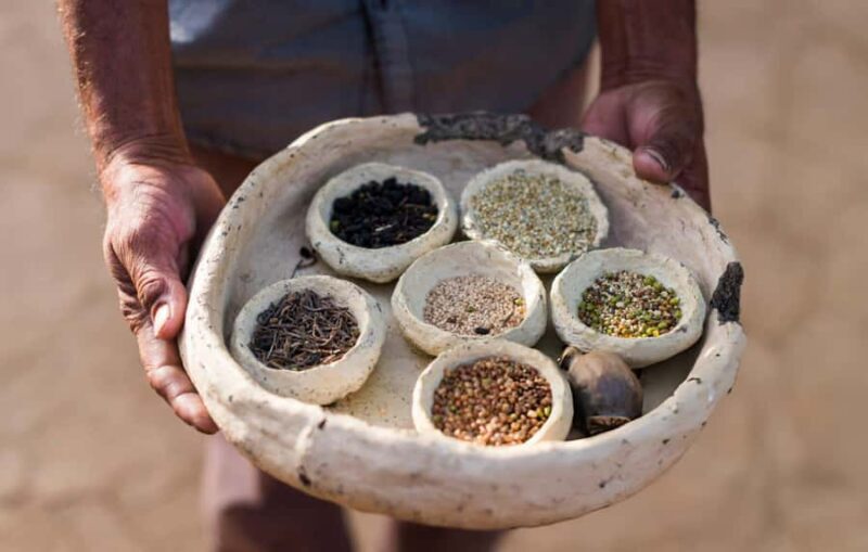 Royal Rajasthani Thali & Family Cooking Class in Udaipur - An In-Depth Look at What You Can Expect