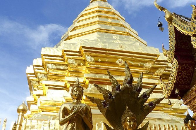 Royal Residence & Wat Phrathat Doi Suthep Half Day Tour From Chiang Mai(Private) - Royal Residence Visit