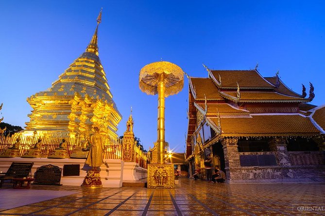 Royal Residence & Wat Phrathat Doi Suthep Half Day Tour From Chiang Mai(Private) - Booking and Pricing Information