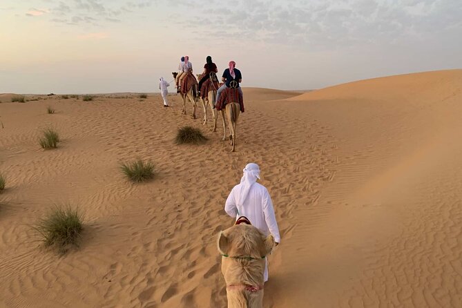 Royal Safari Transfer by Jeep and Quad to the Bedouin Village - What To Expect
