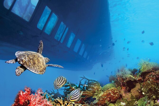 Royal Sea Scope Semi Submarine With Transfer From Marsa Alam - Cancellation Policy