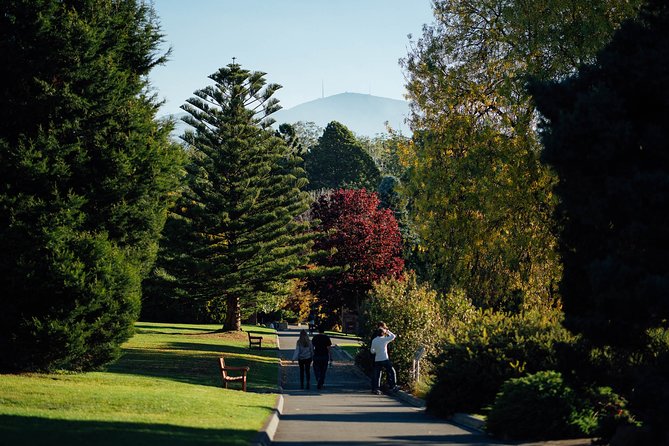 Royal Tasmanian Botanical Gardens Walking Tour - Reviews and Traveler Tips