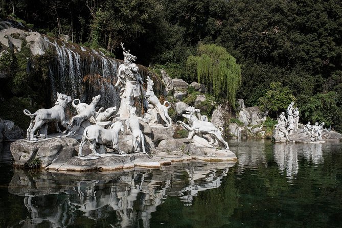Royal Tour in the Park of Caserta - Participation