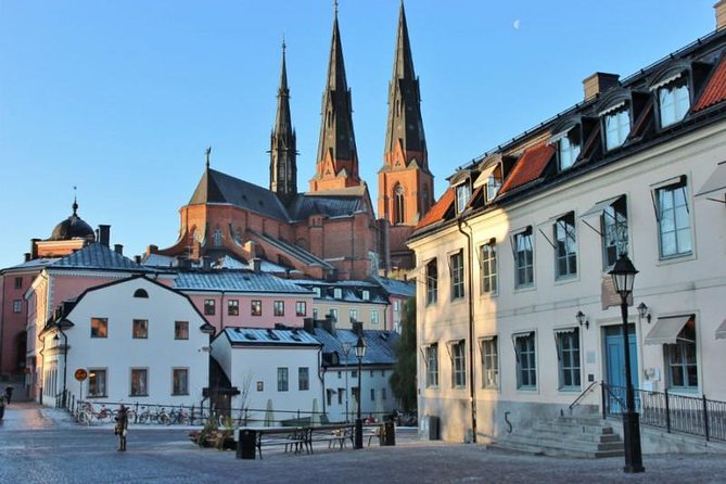 ROYAL Uppsala and VIKING Sigtuna PRIVATE Tour - Private Tour Options and Customization