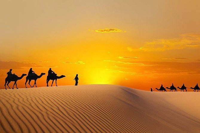 ROYAL VIP DESERT SAFARI , VIP Lounge Bbq Dinner All Inclusive - Overview and Inclusions