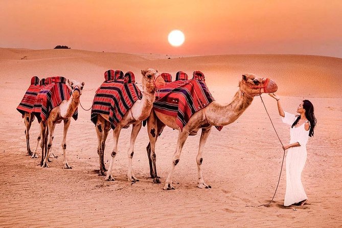 ROYAL VIP DESERT SAFARI , VIP Lounge Bbq Dinner All Inclusive - Henna Painting and Camel Riding
