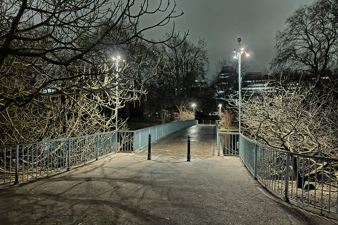 Royal Westminster By Night Walking Tour - Frequently Asked Questions