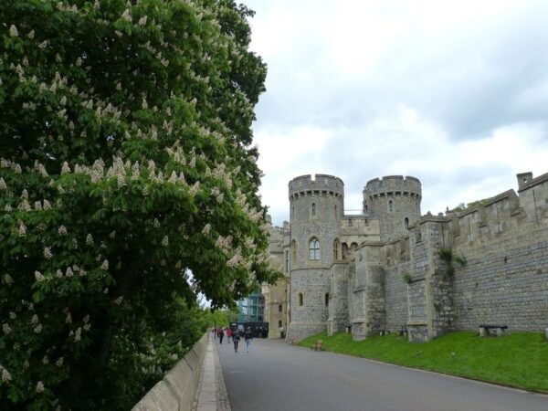 Royal Windsor Castle Tour Private Including Tickets - Common Questions