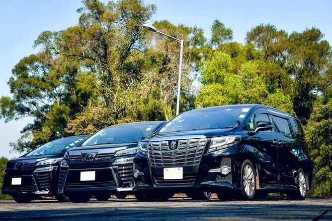 Royalton Hotel & RIU Aquarelle-Private Roundtrip Airport Transfer - Good To Know