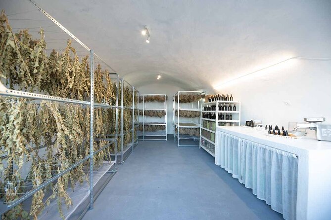 Royalty Romance in Santorini - The Sum Up