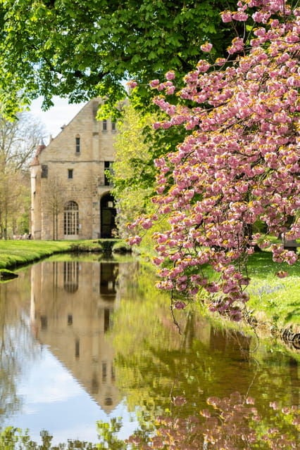 Royaumont Abbey Entrance Ticket - Abbey History and Architecture