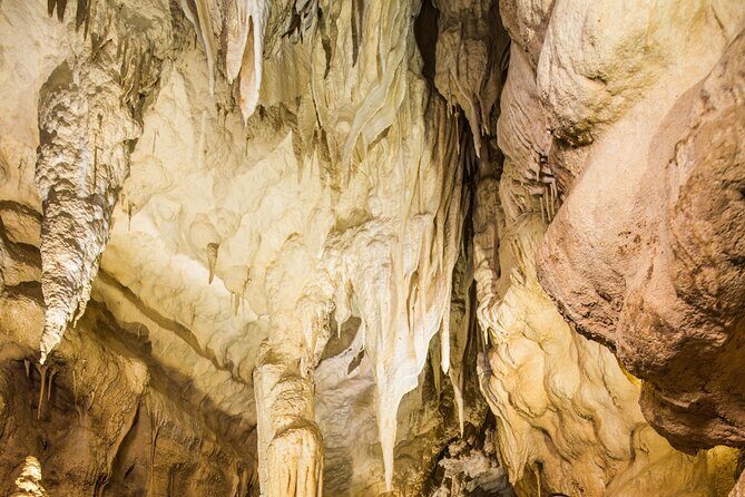 Ruakuri Cave and Hamilton Gardens Private Day Tour from Auckland - Final Thoughts: Is This Tour for You?