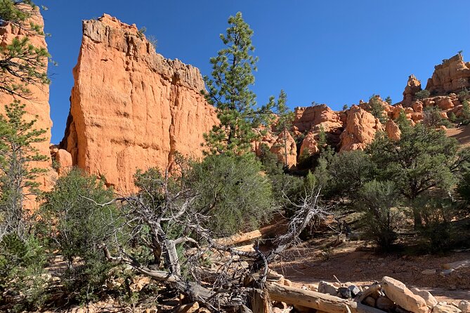 Rubys Horseback Adventures Utah Half Day Ride - Trail Routes and Scenic Landmarks