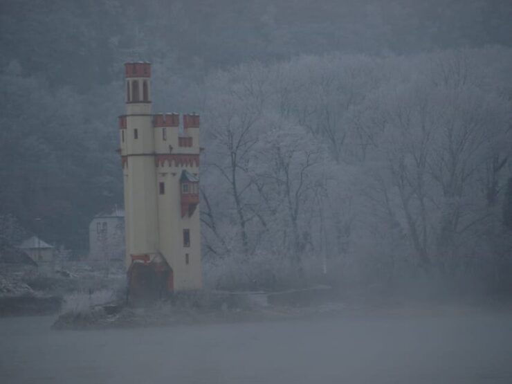 Rüdesheim Am Rhein: Christmas Boat Cruise on the Rhine - Booking and Reservation Details