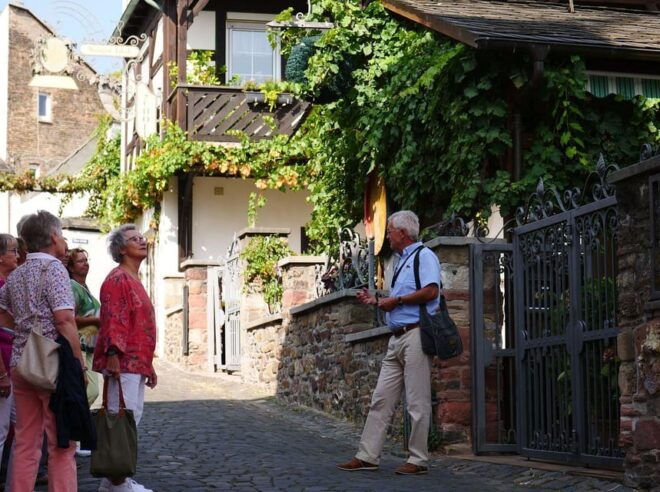 Rüdesheim Am Rhein: City Tour - Participant Requirements