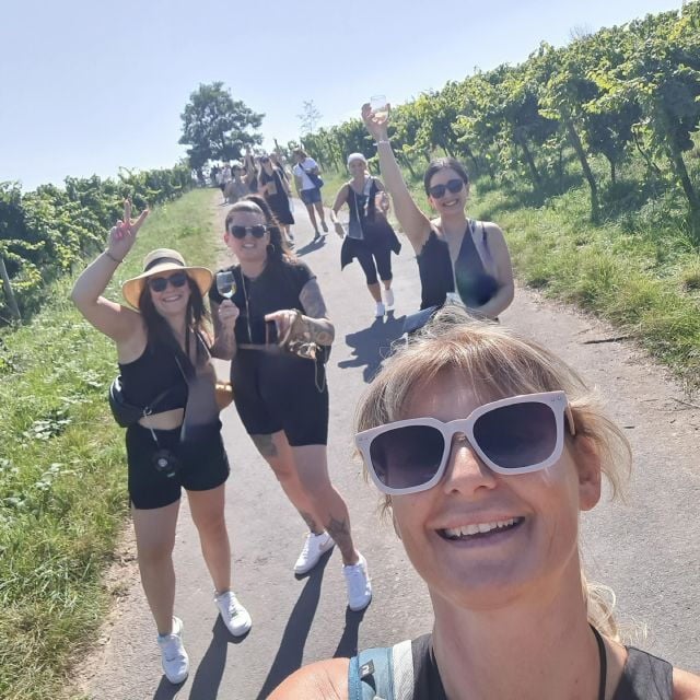 Rüdesheim Am Rhein: Wine Hike and Sights - Scenic Views of Rüdesheim