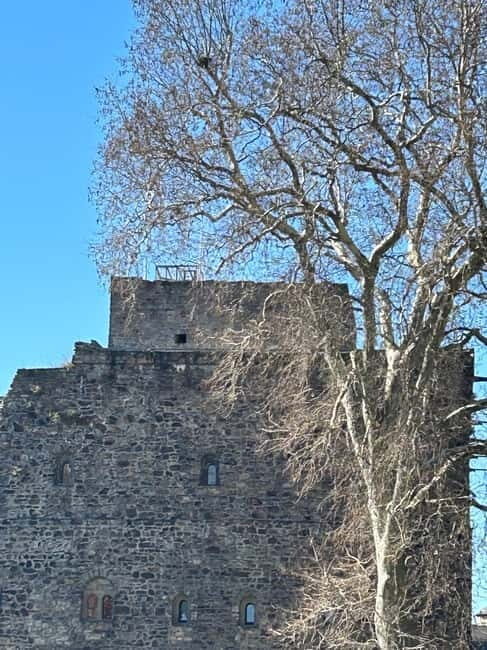 Rüdesheim: city tour with music and wine and Rüdesheim coffee - Who Is This Tour Best For?