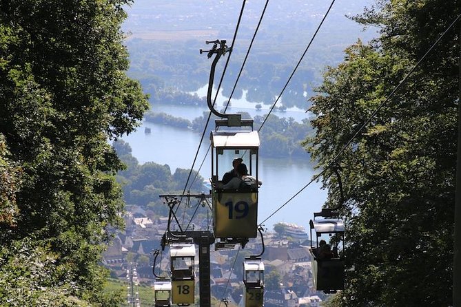 Rudesheim Private Sightseeing Tour From Frankfurt - Participation Requirements for Travelers