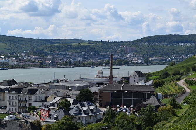 Rudesheim Private Walking Tour With A Professional Guide - Contact and Pricing Information
