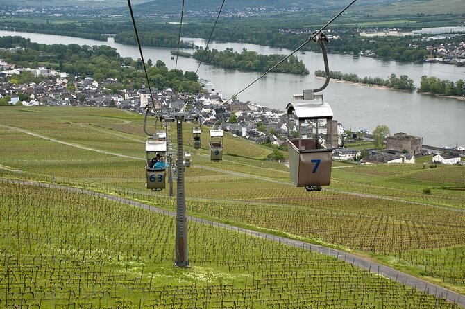 Rudesheim Private Walking Tour With A Professional Guide - Common Questions