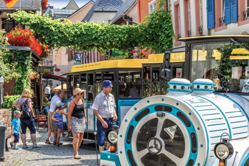 Rüdesheim sightseeing tour with the Winzerexpress - Good To Know  