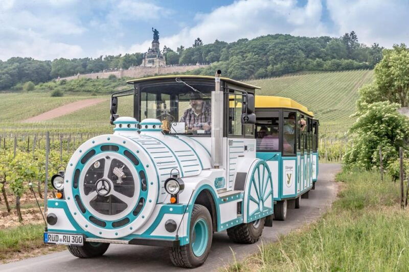 Rüdesheim sightseeing tour with the Winzerexpress - Final Thoughts
