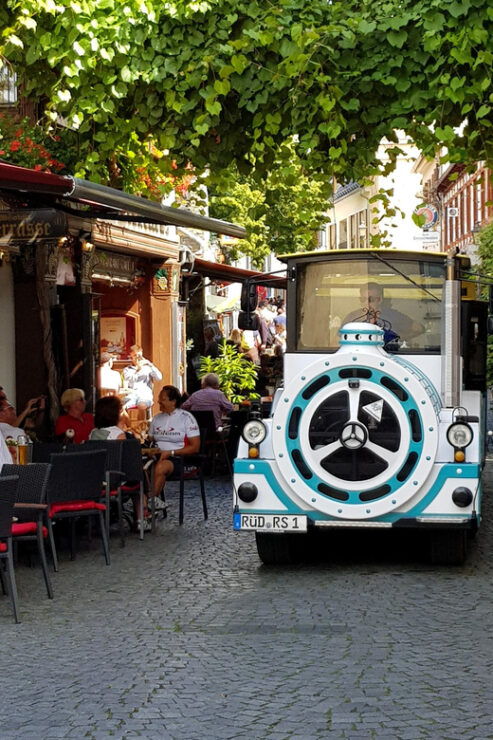 Rüdesheim Sightseeing Tour With the Winzerexpress - Key Points