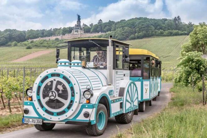 Rüdesheim Sightseeing Tour With the Winzerexpress - Customer Ratings