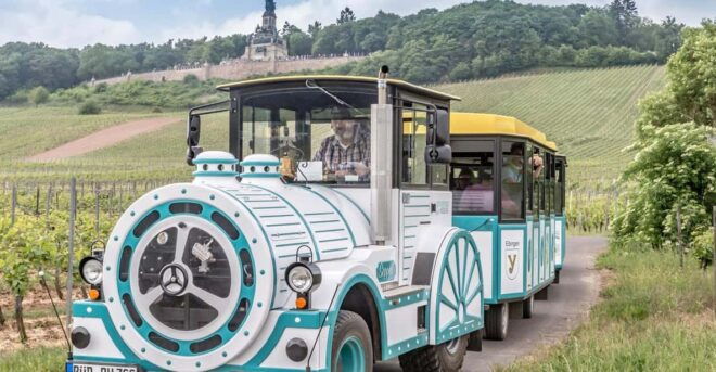 Rüdesheim Sightseeing Tour With the Winzerexpress - Booking Process
