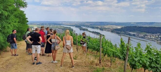 Rüdesheim 'The Wine-Tastic Tour' - Scenic Views and Attractions