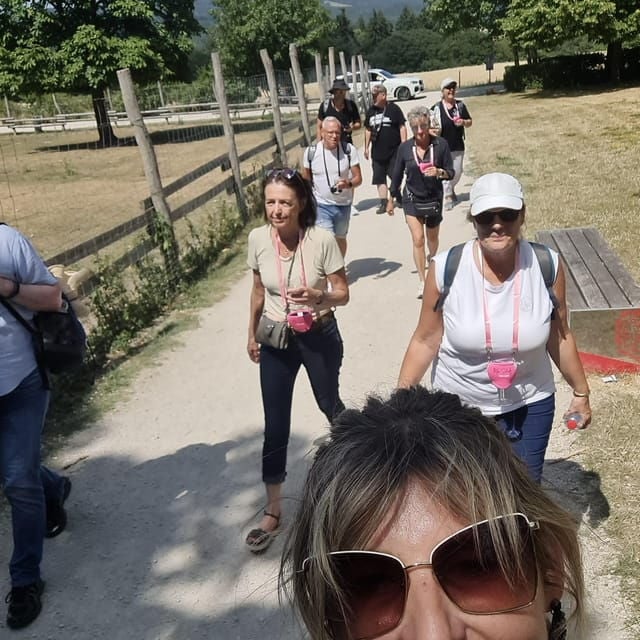 Rüdesheim 'The Wine-Tastic Tour' - Inclusions and Amenities