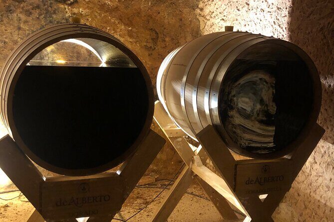 Rueda White Wine Tour with Michelin-Star Lunch from Madrid - Who Should Consider This Tour?