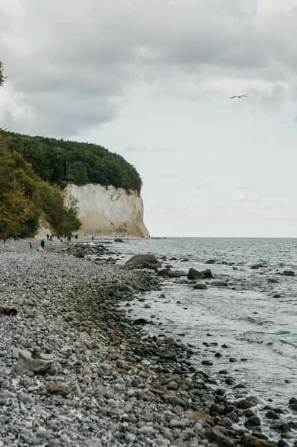 Rügen Island: OneDay trip on the Baltic seacoast from Berlin - Who Should Consider This Tour?