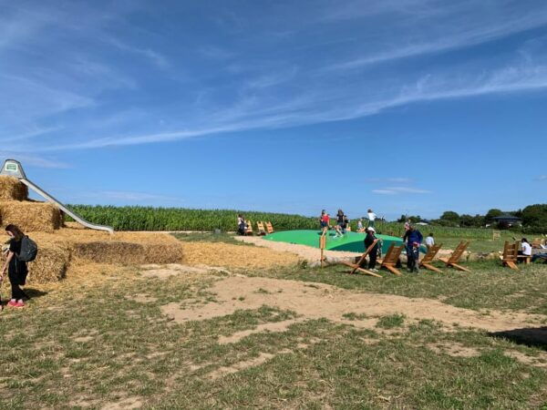 Rügen: Largest Corn Maze on the Island - Frequently Asked Questions