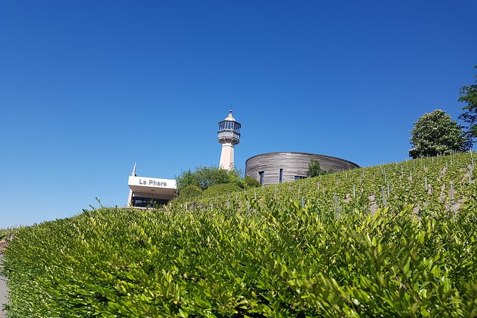 Ruinart Champagne Special Tour - Reviews and Feedback