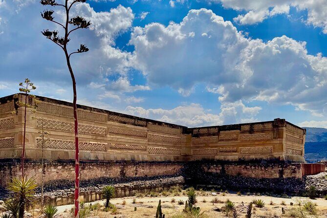 ruins ,colors and maguey private tour - Good To Know