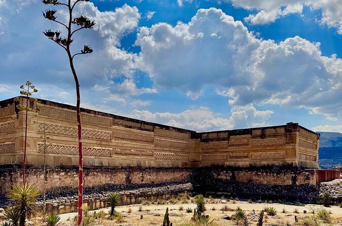 ruins ,colors and maguey private tour - Authentic and Respectful Cultural Encounters