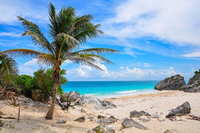 Ruins in Tulum Walking Tour with Audioguide (no ticket) - The Experience on the Ground