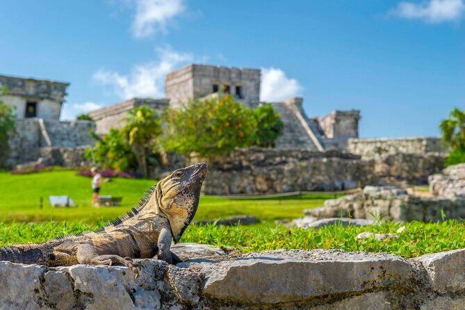Ruins in Tulum Walking Tour with Audioguide (no ticket) - Practical Tips for Your Visit